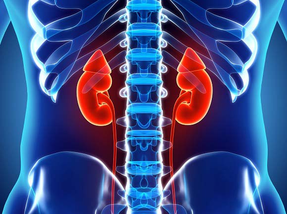 kidney cancer conditions & treatments | SingHealth