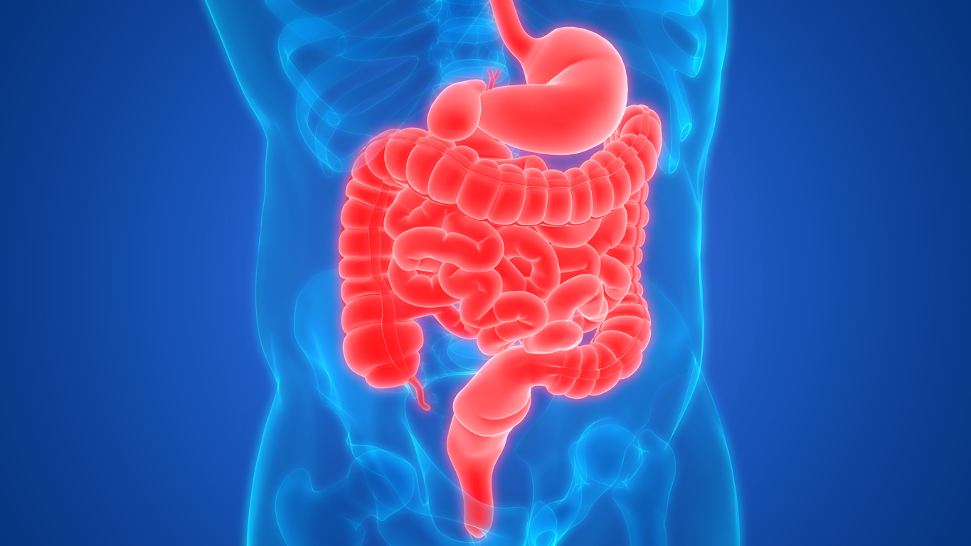 Gastroenteritis or food poisoning is a frequent cause of diarrhoea | SingHealth