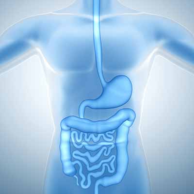 gastrointestinal tract functions and investigations conditions and treatments