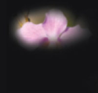 vision experienced with glaucom