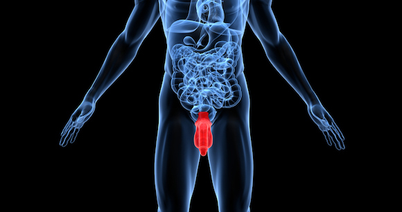 testicular cancer in men